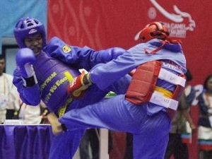 Vietnam dominates SEA Vovinam championships